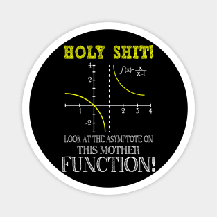 Funny Math, Holy Shit Look At The Asymptote On This Mother Function Magnet